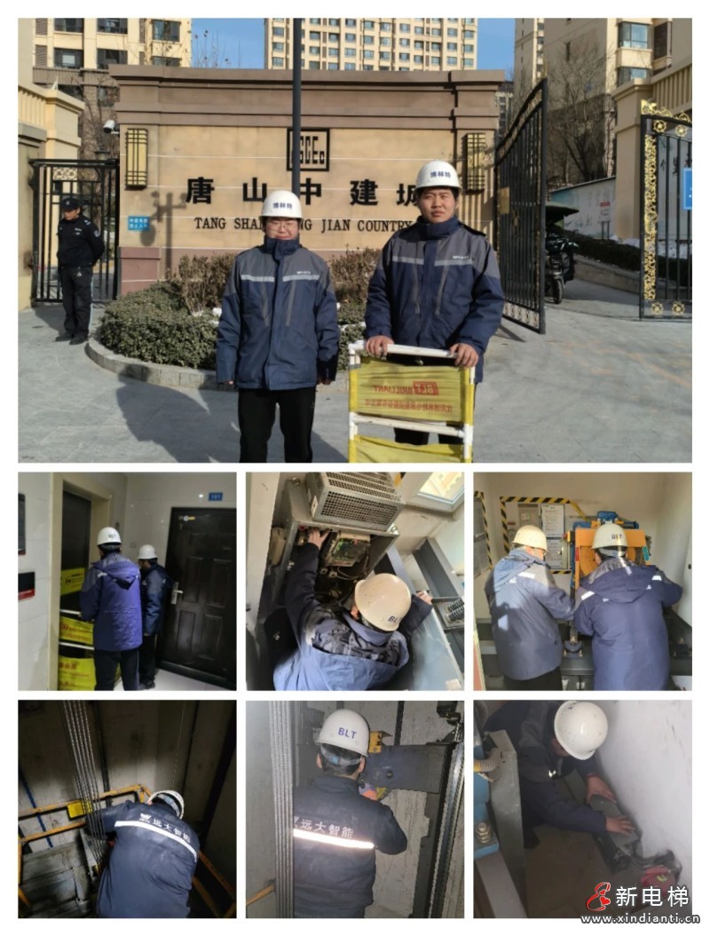 奋斗的力量 | 博林特维保人逐梦新征程，共赴心之所向(图4)