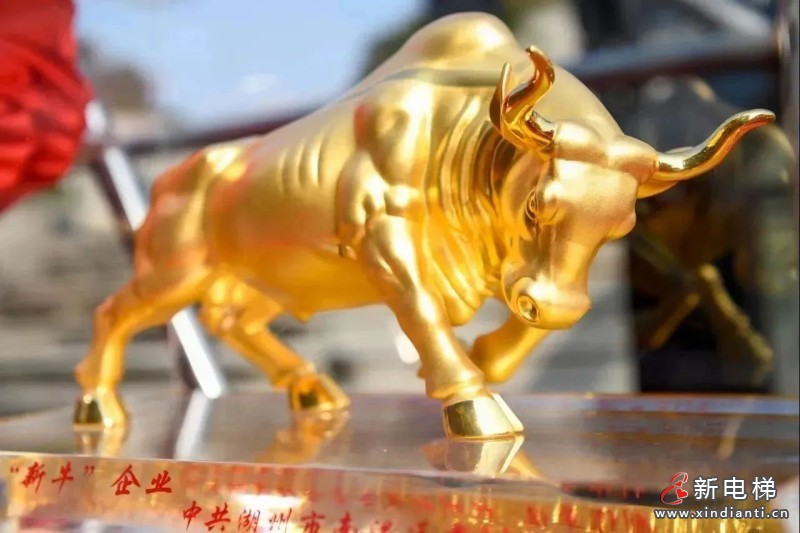 开门红丨森赫电梯捧回新牛企业、重才爱才企业、科技新锐企业三项政府大奖(图3)