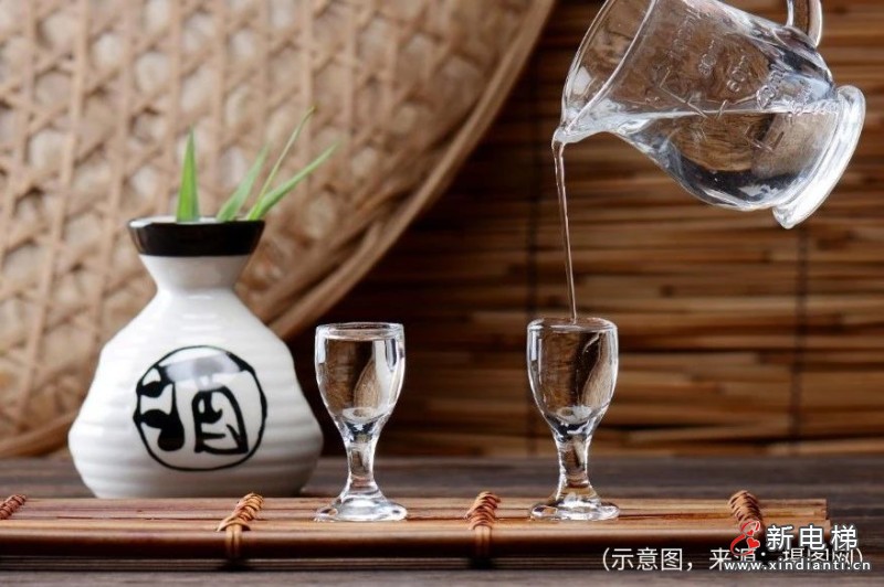 连续三届！菱王电梯荣膺“2023年政府采购电梯服务十强供应商”等称号！(图13)