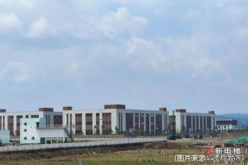 连续三届！菱王电梯荣膺“2023年政府采购电梯服务十强供应商”等称号！(图9)