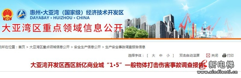 大亚湾开发区西区新亿商业城“1·5”一般物体打击伤害事故调查报告