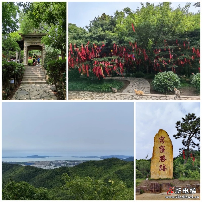 江南嘉捷开展“阳光•活力”嘉捷宝宝庆六一亲子活动(图4)