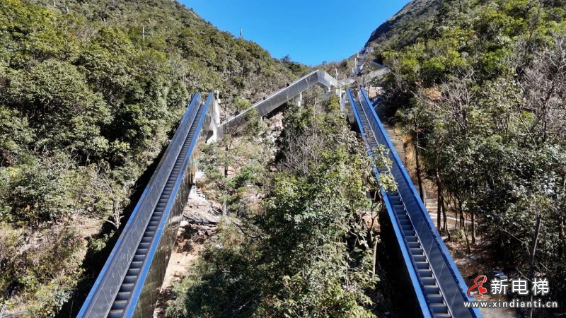 Chinatravel火到“国际张”，天门山天梯发生了这一幕...(图6)