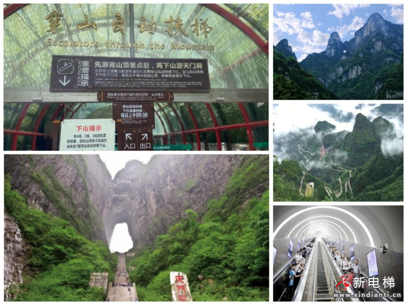 Chinatravel火到“国际张”，天门山天梯发生了这一幕...(图3)