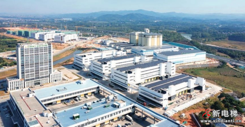 助力绿色农产品入湾出海！美的客货梯一体化方案打造高效垂直交通