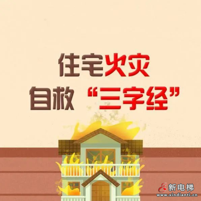 屏幕截图 2024-07-09 105701