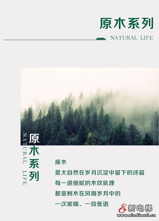 屏幕截图 2024-07-09 145246