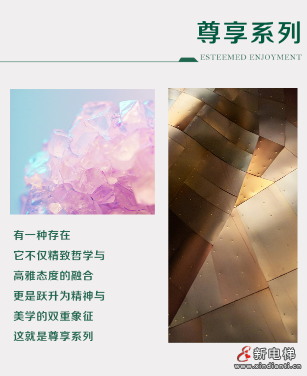 屏幕截图 2024-07-09 145406