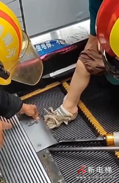 360截图20240725100233750