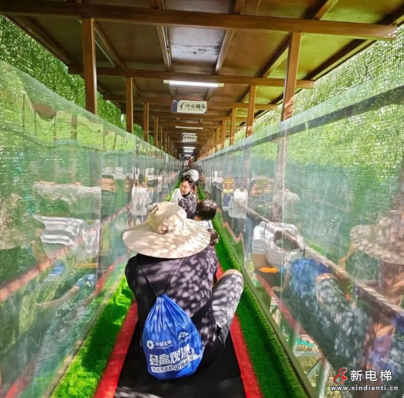 微信截图_20240826114359