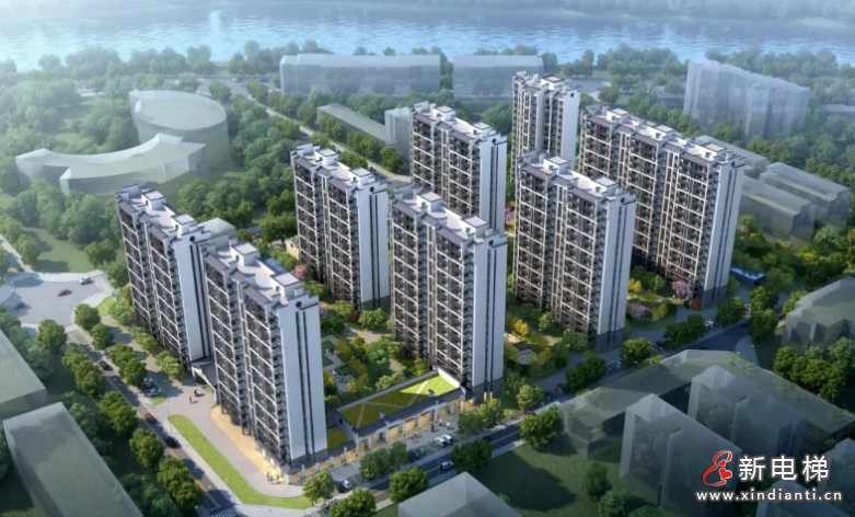 微信截图_20240828164324