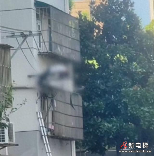 360截图20240903102844425