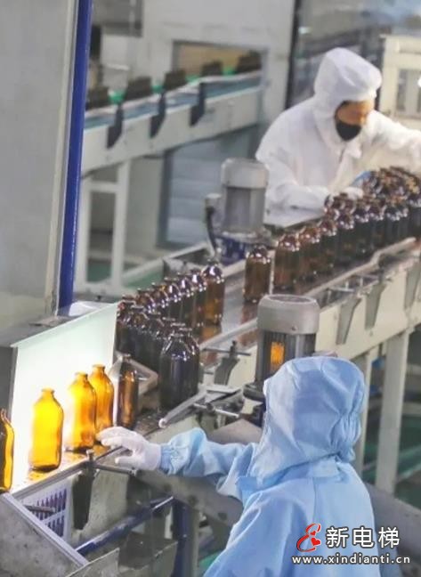 360截图20240913153048688