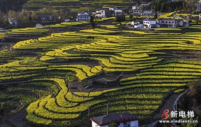 莱茵电梯助力开启凤堰古梯田新篇章