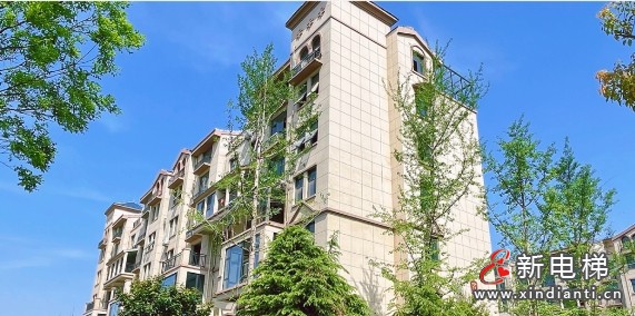 微信截图_20241113163958