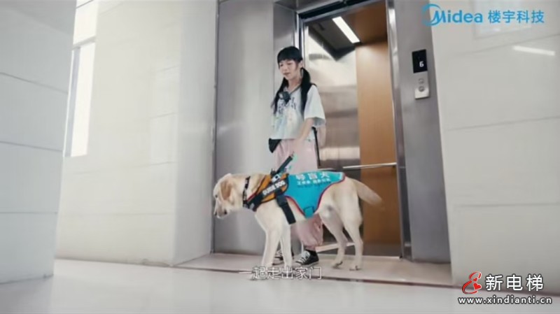 新电梯早新闻2024年12月4日 十一月初四 星期三