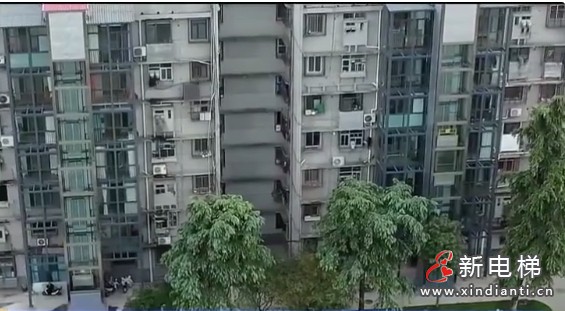 微信截图_20241211103046