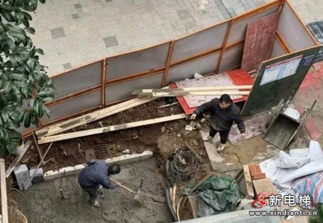 微信截图_20241220100423