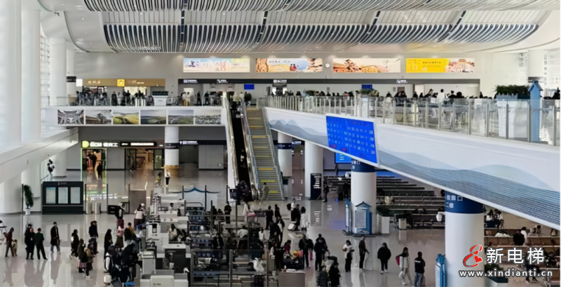 跟着菱王电梯，向「有风之城」出发(图5)