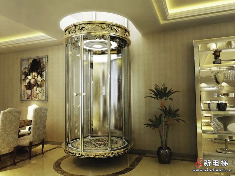 开门红 | 远大智能博林特电梯斩获迪拜顶级豪宅项目，定制化服务再树中东市场新标杆！(图4)