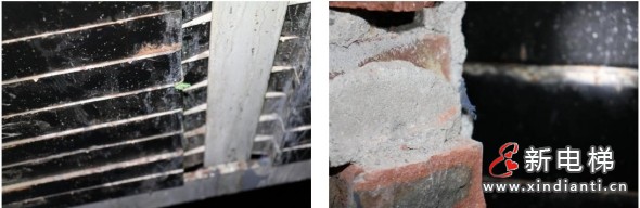深圳：工人作业过程中头部伸入电梯井遭对重块撞击挤压死亡后转移尸体破坏监控，8人被刑拘（附事故调查报告）(图8)