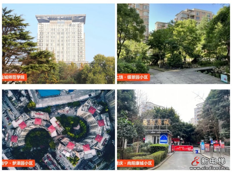 蝉联政府采购领域大奖！电梯双品牌连续四年问鼎十强(图4)