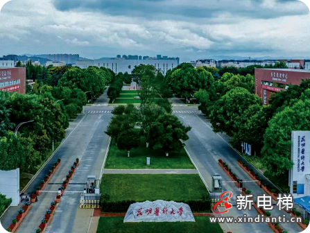 以数智破界！LINVOL领沃焕新方案亮相电梯更新大会(图9)