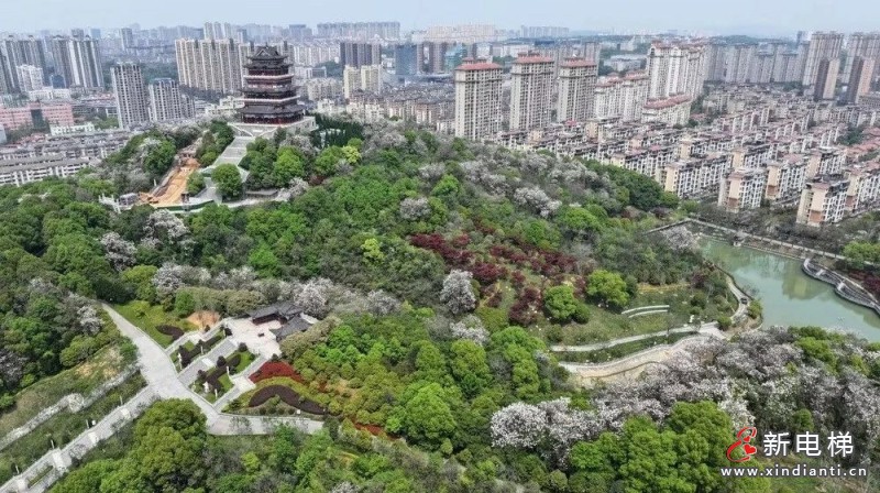 赋能文旅产业，江南嘉捷助力江西青原山风景区、南山公园景区升级焕颜！(图4)