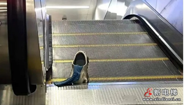 微信截图_20250711112315