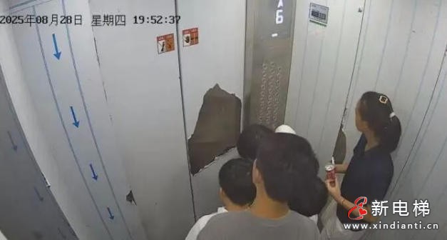 浙江永康6名儿童被困电梯30分钟冷静自救：教科书式应对获消防点赞