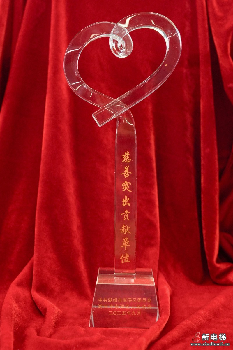 巨人集团荣获区“慈善突出贡献单位”称号(图4)