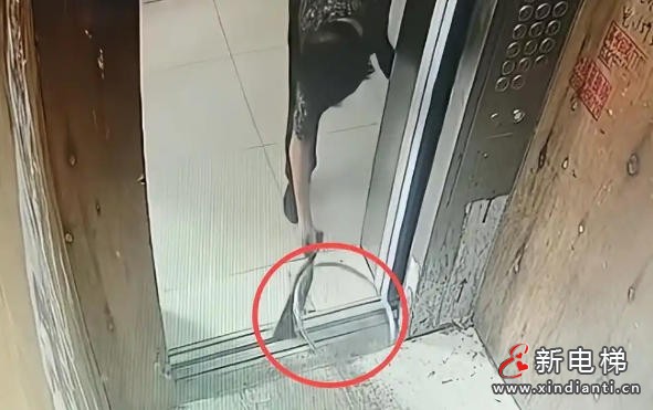 新电梯网早新闻 2025年9月23日 八月初二 星期二(图5)