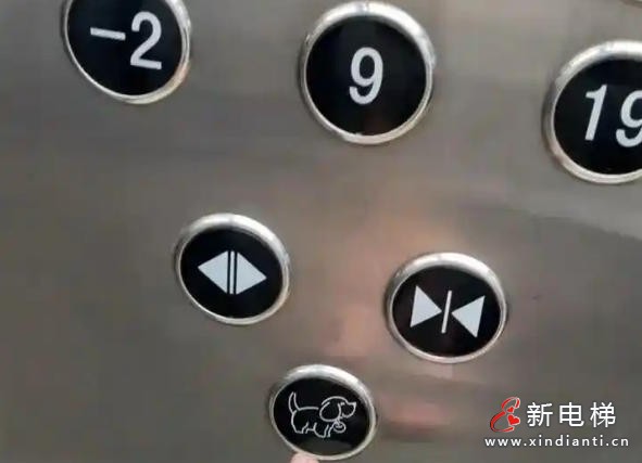 新电梯网早新闻 2025年9月24日 八月初三 星期三(图5)