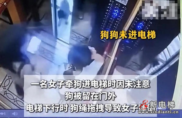 新电梯网早新闻 2025年9月29日 八月初八 星期一(图5)