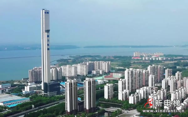 康力电梯董事会审议治理结构改革 拟取消监事会制度