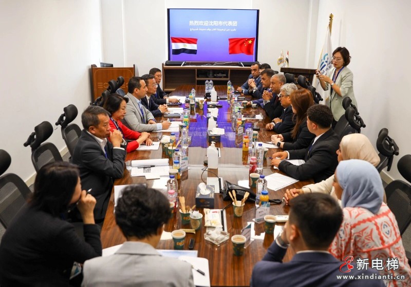 家乡的骄傲，世界的舞台：吕志成市长莅临远大智能埃及合作工厂，点赞中埃国际化合作成果(图3)