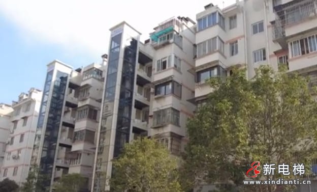 从“爬半层”到“零障碍”：浙江宁波平层入户电梯改造成“爆款”