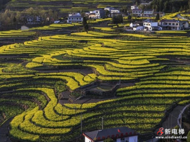 载誉前行！莱茵电梯在好电梯创新技术交流大会斩获多项重磅奖项(图3)