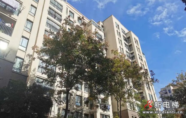 新电梯网早新闻 2025年11月19日九月三十 星期三(图3)