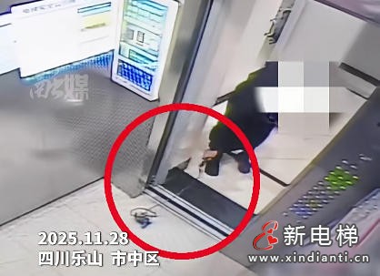 四川乐山一业主无心之失酿险情 宠物绳卡电梯致急停！