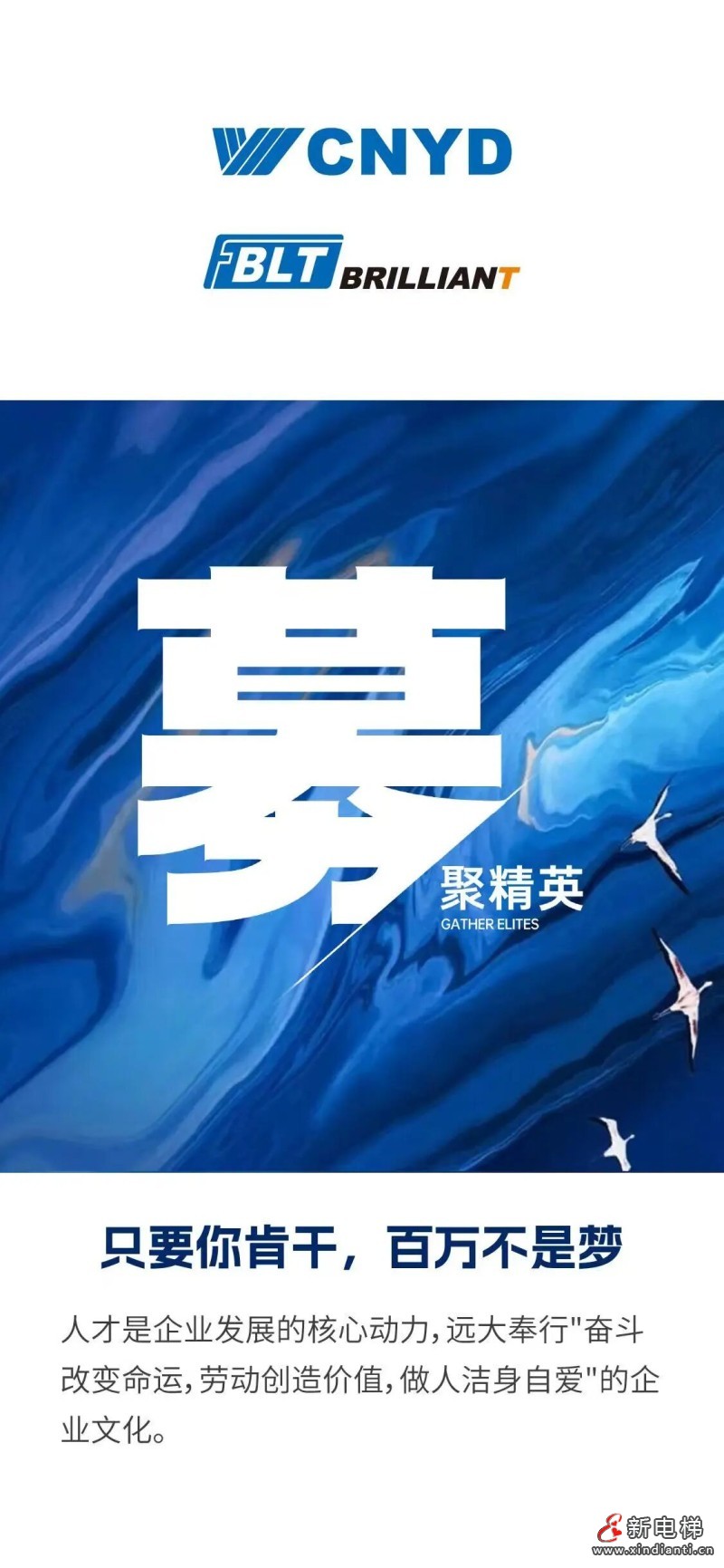 聚焦全球战略 赋能人才腾飞 远大智能博林特电梯2025全球招聘(图2)