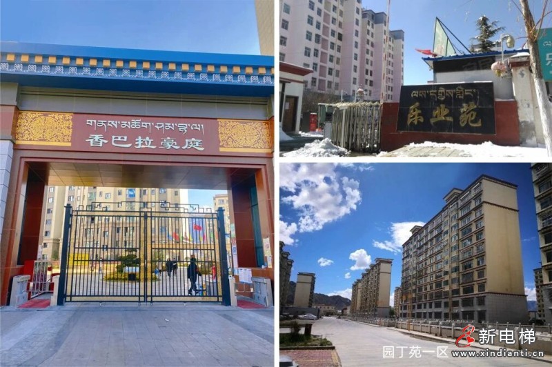 喜讯！梅轮电梯中标拉萨59台老旧电梯更新项目，合同金额超千万(图2)