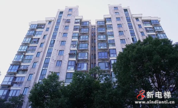 从“故障频发”到“安全便捷”：上海徐汇明丰新纪苑27部电梯更新