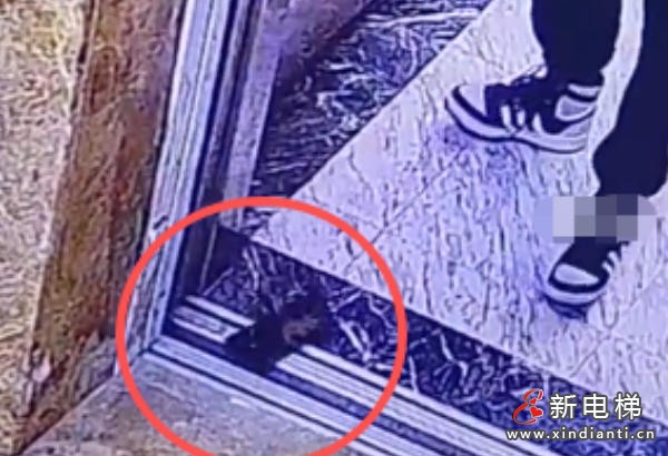 新电梯网早新闻 2026年4月1日 二月十四 星期三(图7) 新电梯网早新闻 2026年4月1日 二月十四 星期三(图7)