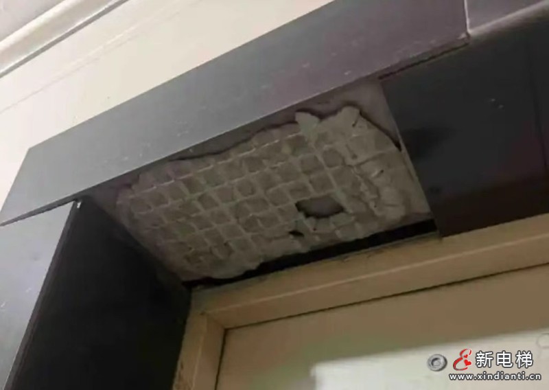 陕西西安一小区电梯间瓷砖脱落砸伤6岁女童 物业承认担责