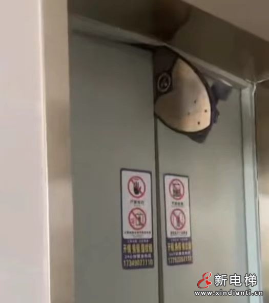 微信图片_20260513102811_740_24