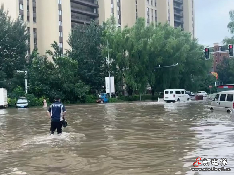 闻“汛”而动 逆风守护 ——博林特维保筑牢出行安全防线(图4)
