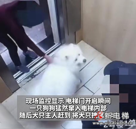 贵州贵阳一小区电梯内犬只窜入咬伤物业人员 警方已介入(图1) ScreenShot_2026-08-12_095009_326